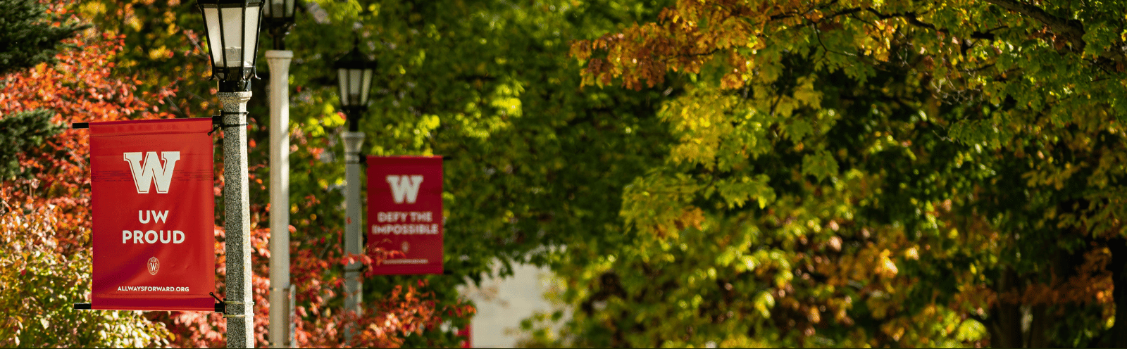 Banner image showing a lamp post banner with the words, 'W, UW Proud'. Fall trees are in the background